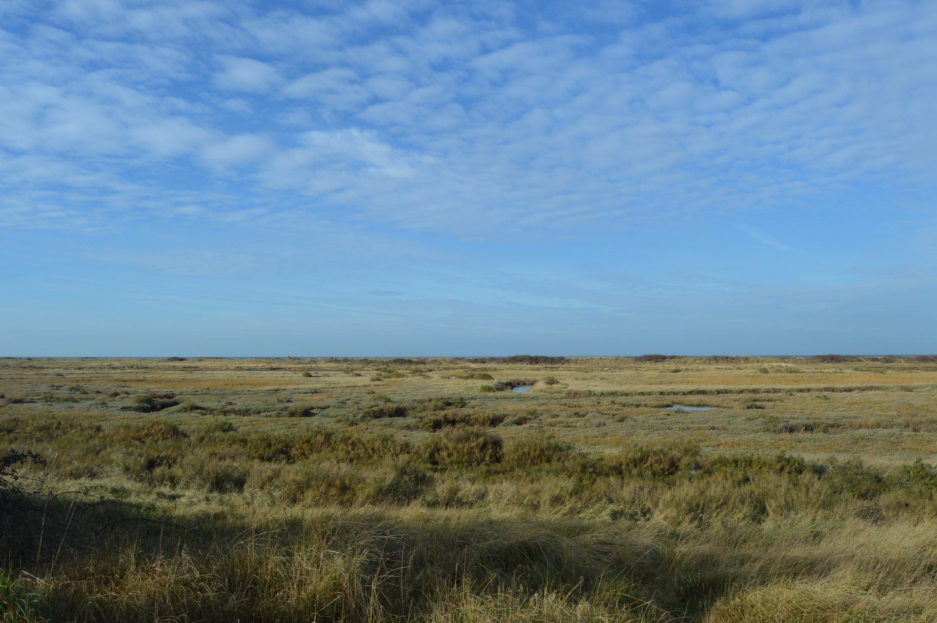 DSC_0080